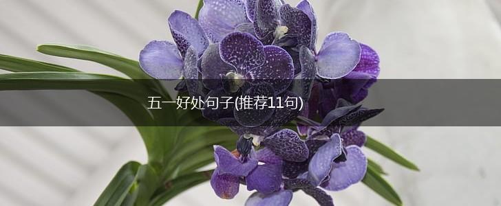 五一好处句子(推荐11句),第1张