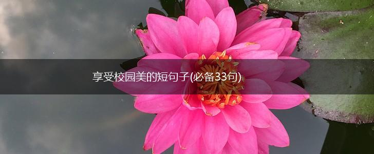 享受校园美的短句子(必备33句),第1张