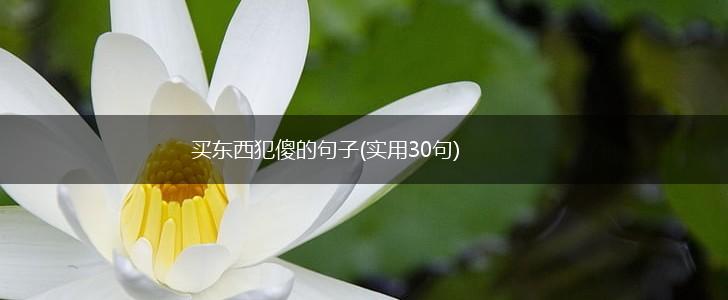 买东西犯傻的句子(实用30句),第1张