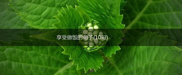享受做饭的句子(10句),第1张