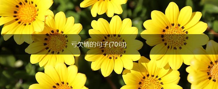 亏欠情的句子(70句),第1张