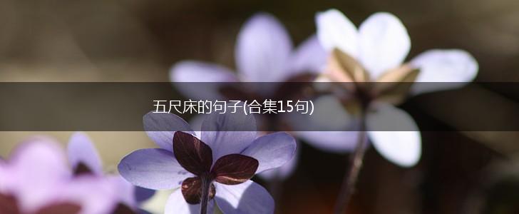 五尺床的句子(合集15句),第1张