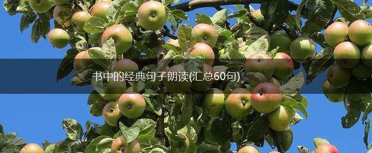 书中的经典句子朗读(汇总60句),第1张