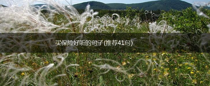买保险好听的句子(推荐41句),第1张