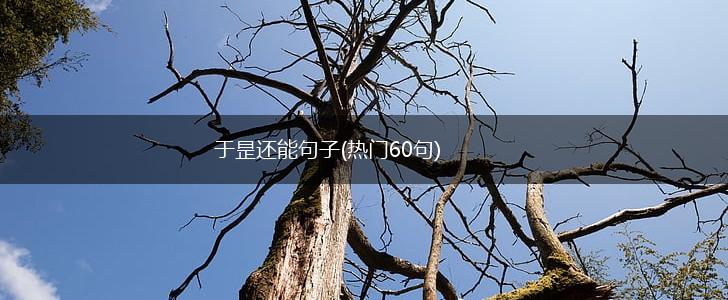 于昰还能句子(热门60句),第1张