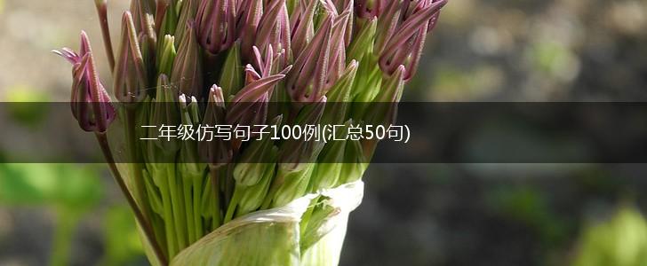 二年级仿写句子100例(汇总50句),第1张