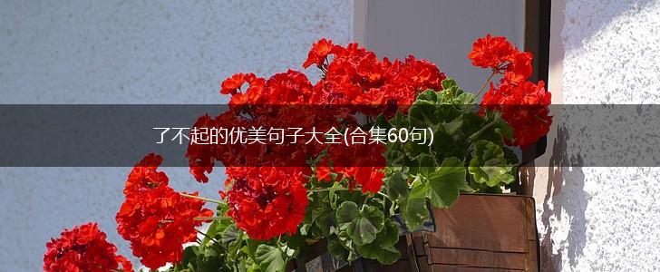 了不起的优美句子大全(合集60句),第1张