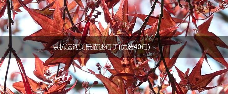 京杭运河美景描述句子(优选40句),第1张