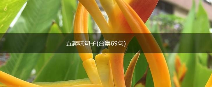 五趣味句子(合集69句),第1张