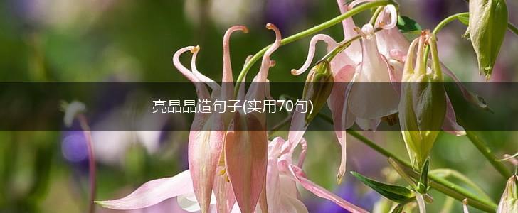 亮晶晶造句子(实用70句),第1张