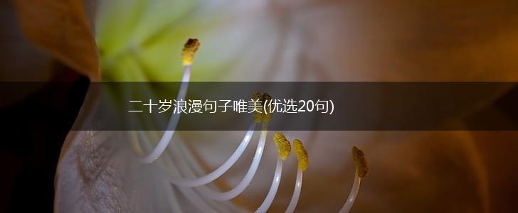 二十岁浪漫句子唯美(优选20句),第1张