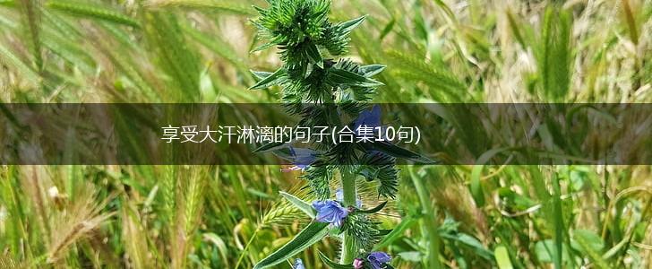 享受大汗淋漓的句子(合集10句),第1张