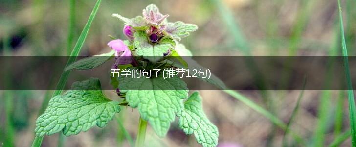 五学的句子(推荐12句),第1张