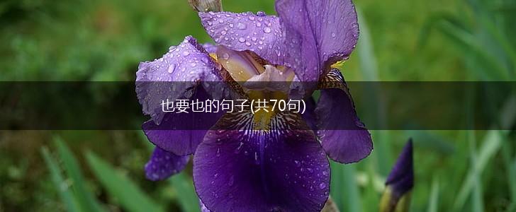 也要也的句子(共70句),第1张