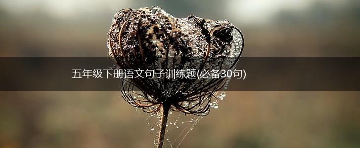 五年级下册语文句子训练题(必备30句),第1张