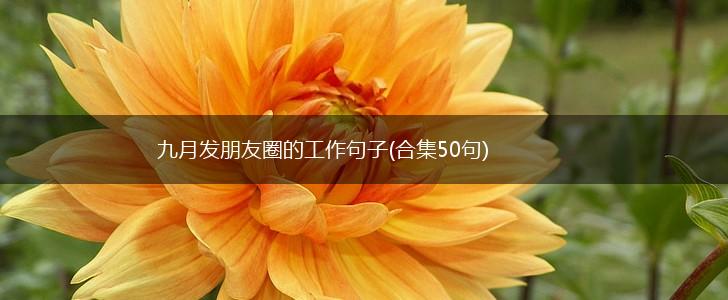 九月发朋友圈的工作句子(合集50句),第1张