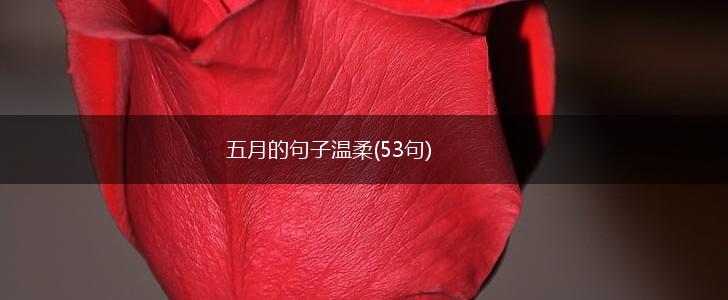 五月的句子温柔(53句),第1张