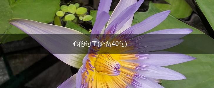 二心的句子(必备40句),第1张