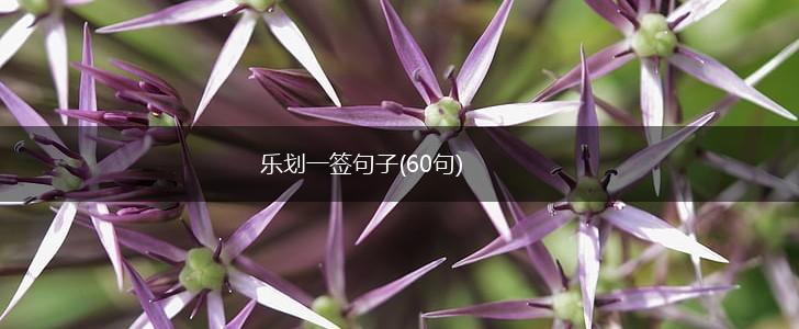 乐划一签句子(60句),第1张