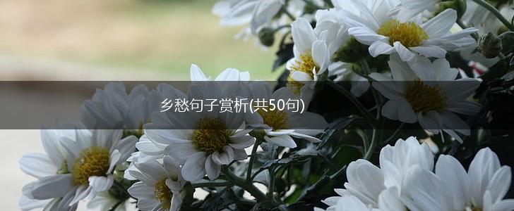 乡愁句子赏析(共50句),第1张