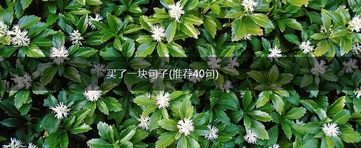 买了一块句子(推荐40句),第1张