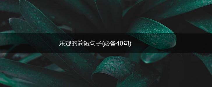 乐观的简短句子(必备40句),第1张