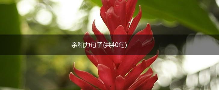 亲和力句子(共40句),第1张