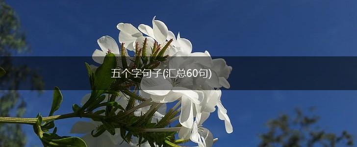 五个字句子(汇总60句),第1张