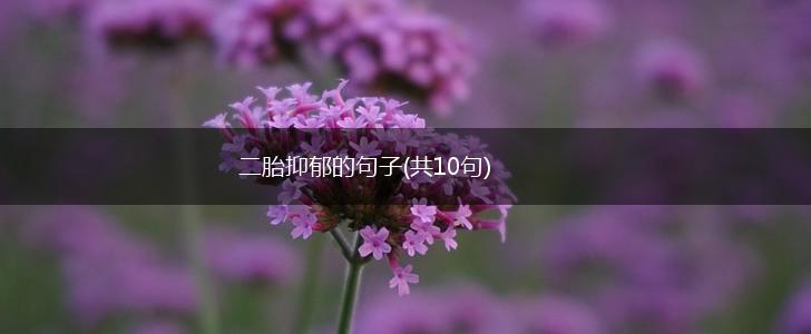 二胎抑郁的句子(共10句),第1张