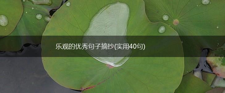 乐观的优秀句子摘抄(实用40句),第1张