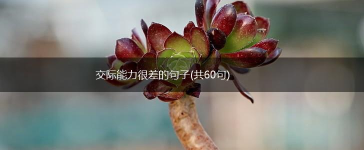 交际能力很差的句子(共60句),第1张