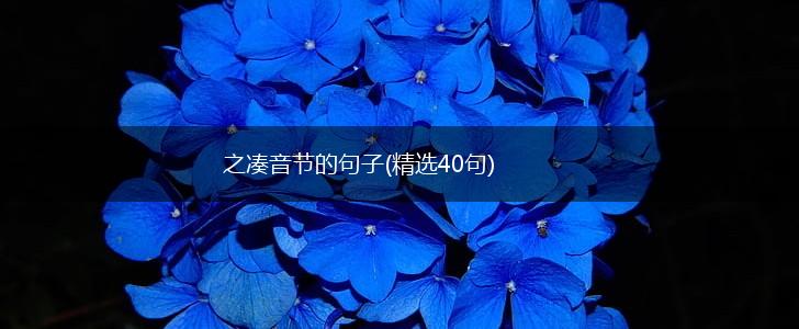 之凑音节的句子(精选40句),第1张