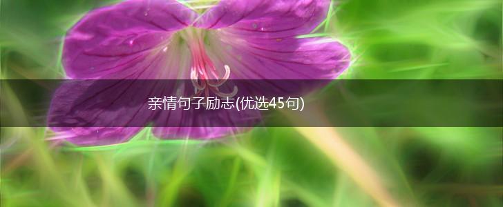 亲情句子励志(优选45句),第1张