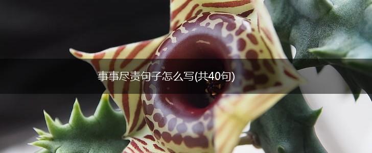 事事尽责句子怎么写(共40句),第1张