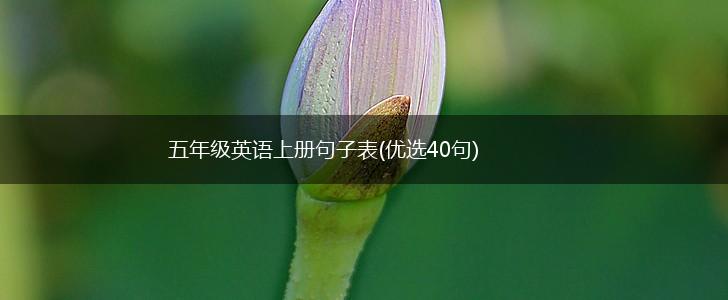 五年级英语上册句子表(优选40句),第1张