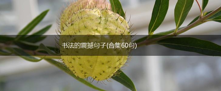 书法的震撼句子(合集60句),第1张