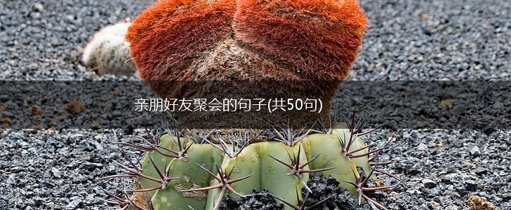 亲朋好友聚会的句子(共50句),第1张