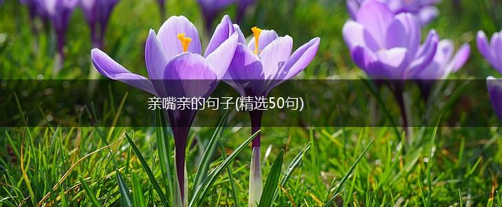 亲嘴亲的句子(精选50句),第1张