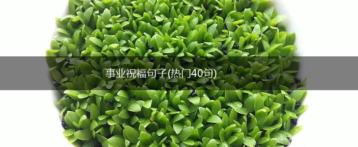 事业祝福句子(热门40句),第1张