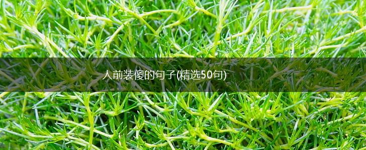 人前装傻的句子(精选50句),第1张