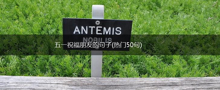 五一祝福朋友的句子(热门50句),第1张