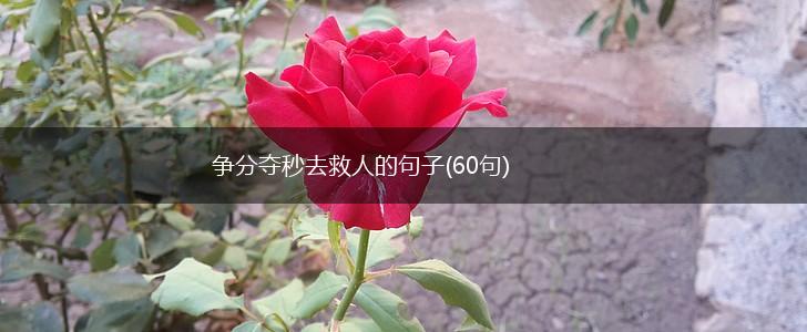 争分夺秒去救人的句子(60句),第1张