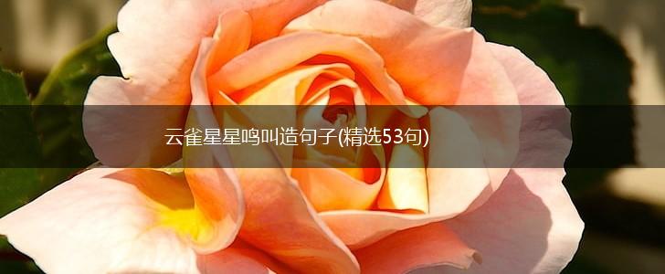 云雀星星鸣叫造句子(精选53句),第1张