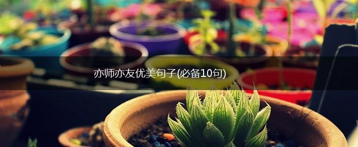 亦师亦友优美句子(必备10句),第1张