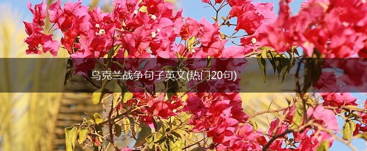 乌克兰战争句子英文(热门20句),第1张