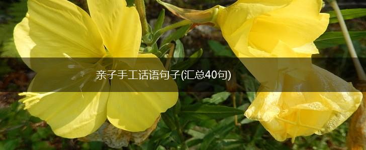 亲子手工话语句子(汇总40句),第1张