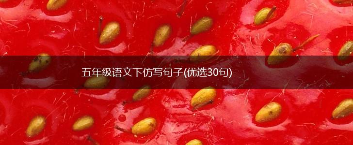 五年级语文下仿写句子(优选30句),第1张