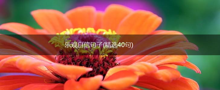 乐观自信句子(精选40句),第1张