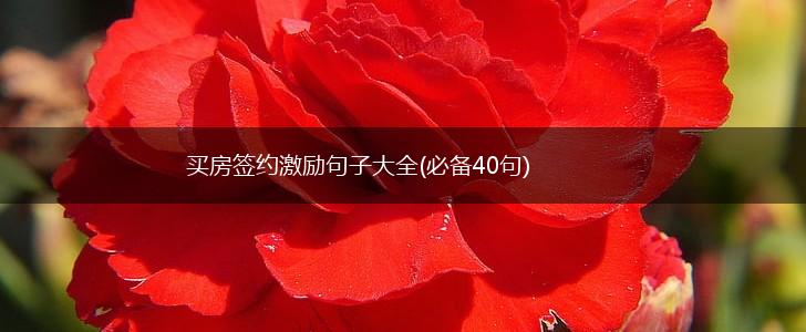 买房签约激励句子大全(必备40句),第1张