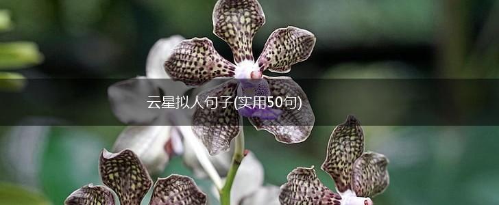 云星拟人句子(实用50句),第1张